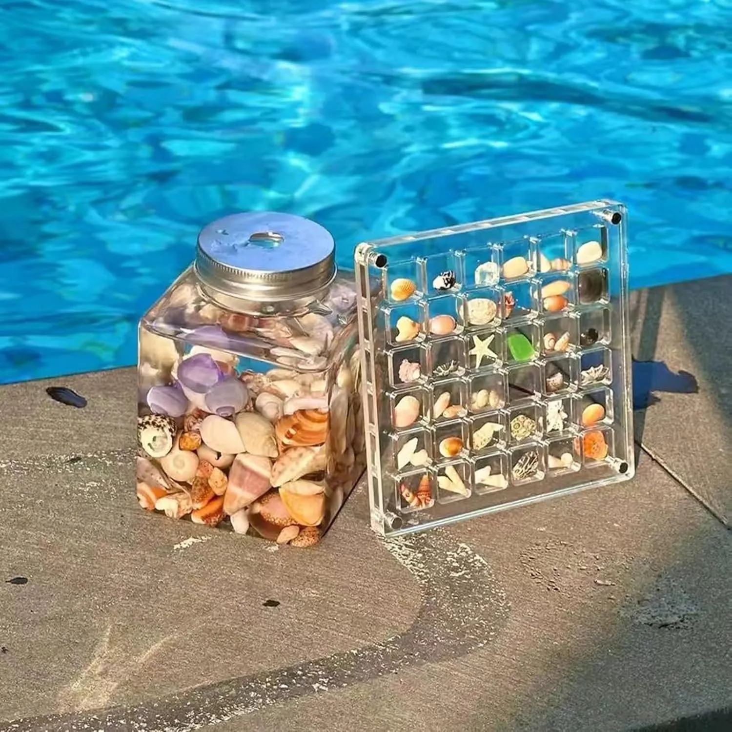 Acrylic Magnetic Seashell Display Box,Clear Organizer Box Container Craft Storage for Beads,nails,jewelrys,Gemstones,Seashell