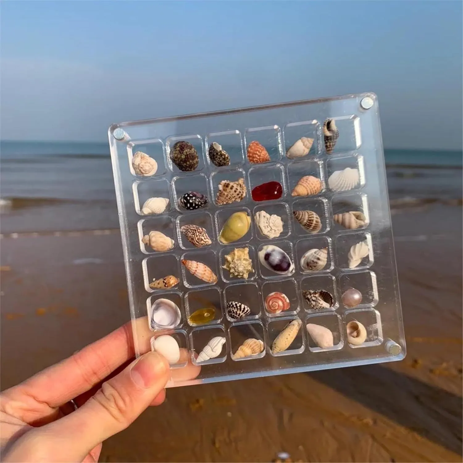 Acrylic Magnetic Seashell Display Box,Clear Organizer Box Container Craft Storage for Beads,nails,jewelrys,Gemstones,Seashell