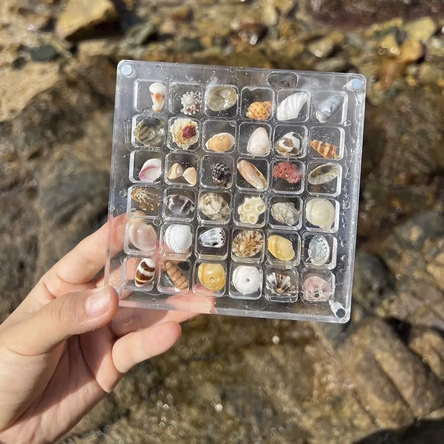 Acrylic Magnetic Seashell Display Box,Clear Organizer Box Container Craft Storage for Beads,nails,jewelrys,Gemstones,Seashell
