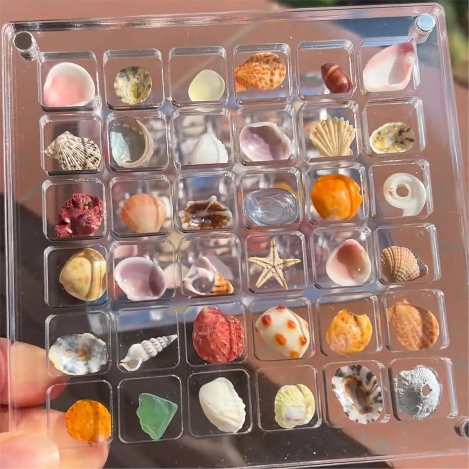 Acrylic Magnetic Seashell Display Box,Clear Organizer Box Container Craft Storage for Beads,nails,jewelrys,Gemstones,Seashell