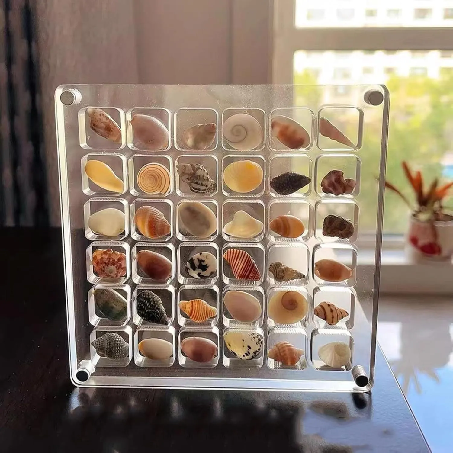 Acrylic Magnetic Seashell Display Box,Clear Organizer Box Container Craft Storage for Beads,nails,jewelrys,Gemstones,Seashell