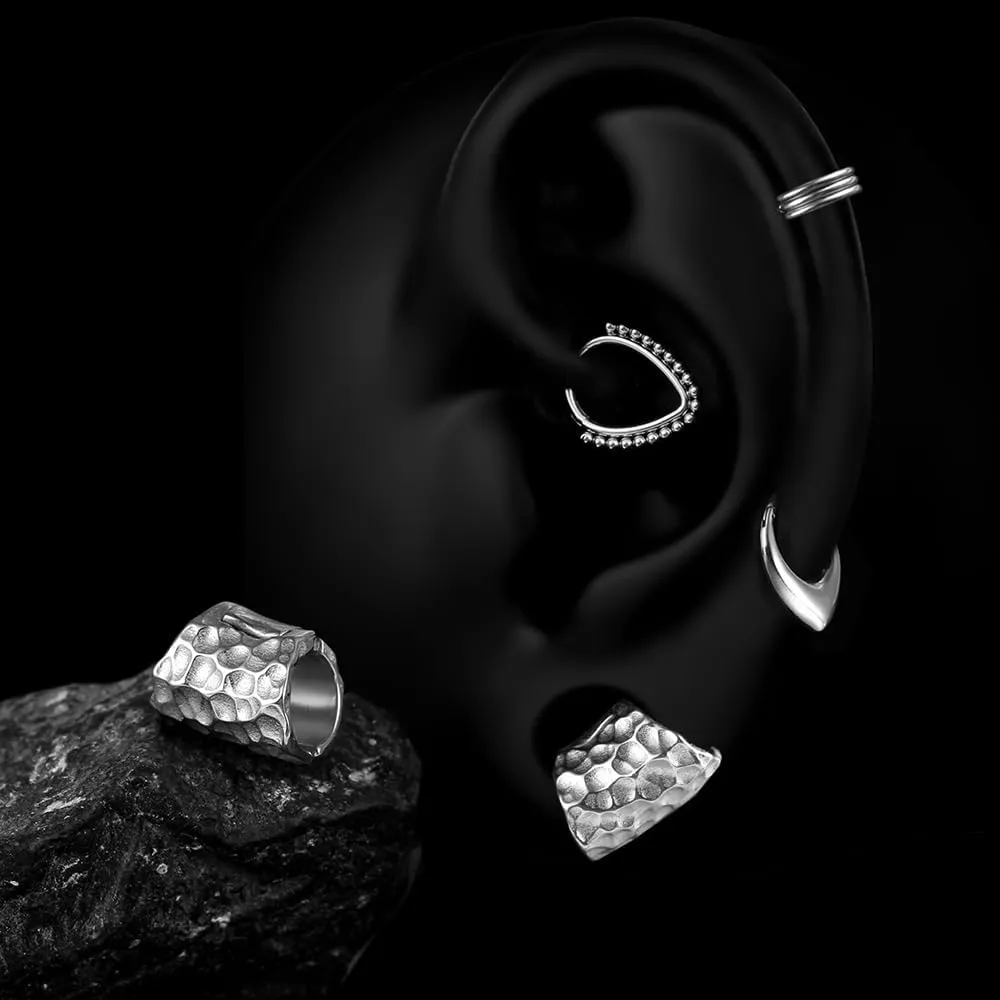 LADEMAYH 2Pcs Ear Weights for Stretched Ears Gauges Body Jewelry, Min. Fit 6g to 1 inch Stylish Heart, Hoop, Bird Stainless Steel Dangle Gauges for Ear Stretching Kit