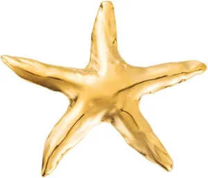 Ocean Starfish Brooch Pin for Women Gold Plated Stainless Steel Fashion Sea Star Marine Style Brooches Lapel Pins Cute Dress Accessories Birthday Beachy Party Jewelry Gift