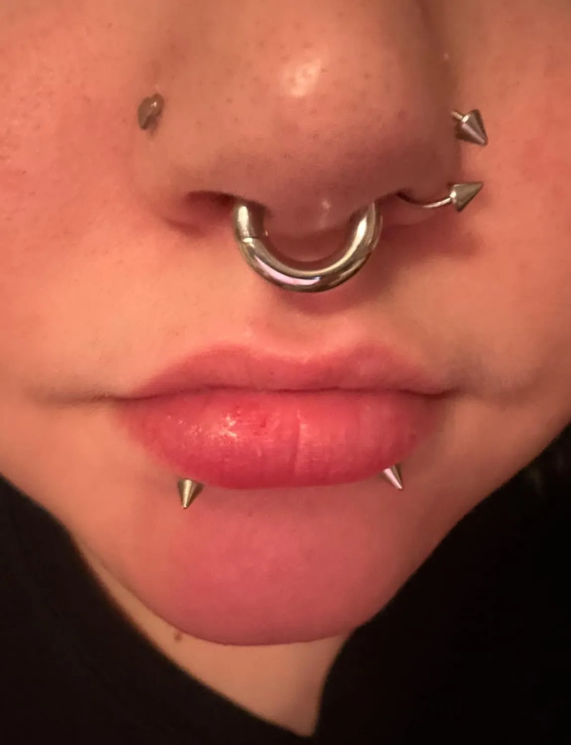 Yaalozei 2G 4G 6G 8G 10G 12G Hinged Large Septum Rings Clicker Surgical Steel Ear Gauges Tunnels Plugs Hoop Earrings Expander Taper Stretching kit Big Septum Nose Ring Piercing Jewelry for Men Women